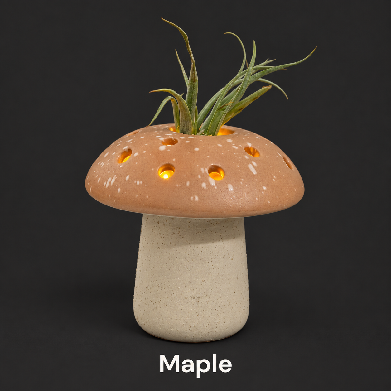 Maple
